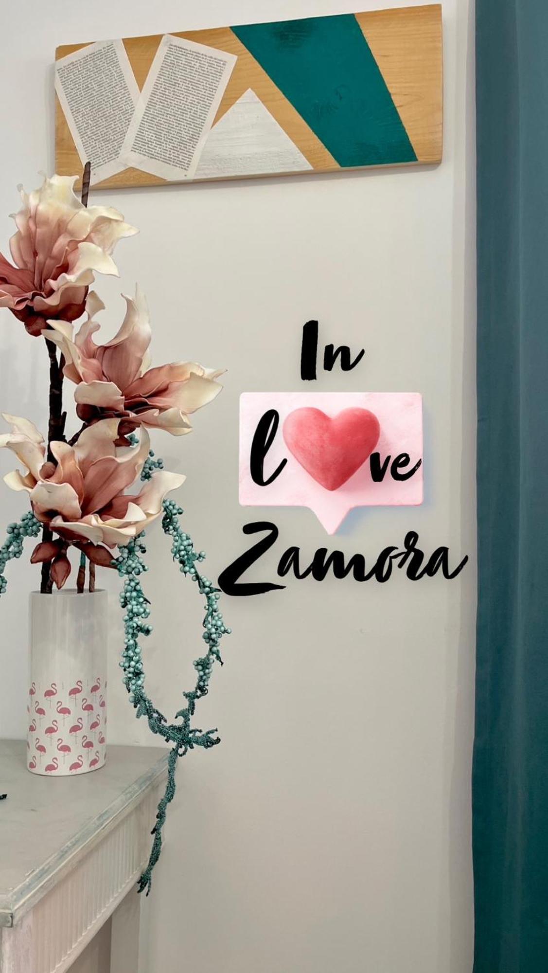 In Love Zamora 3 habitaciones Esterno foto